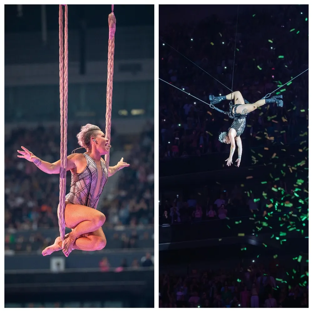 Певица Пинк Певица Пинк