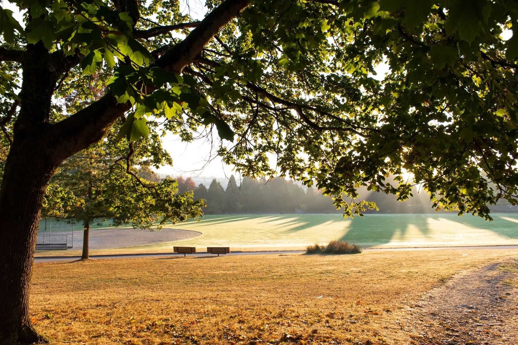 Какой будет погода 6 сентября Какой будет погода 6 сентября