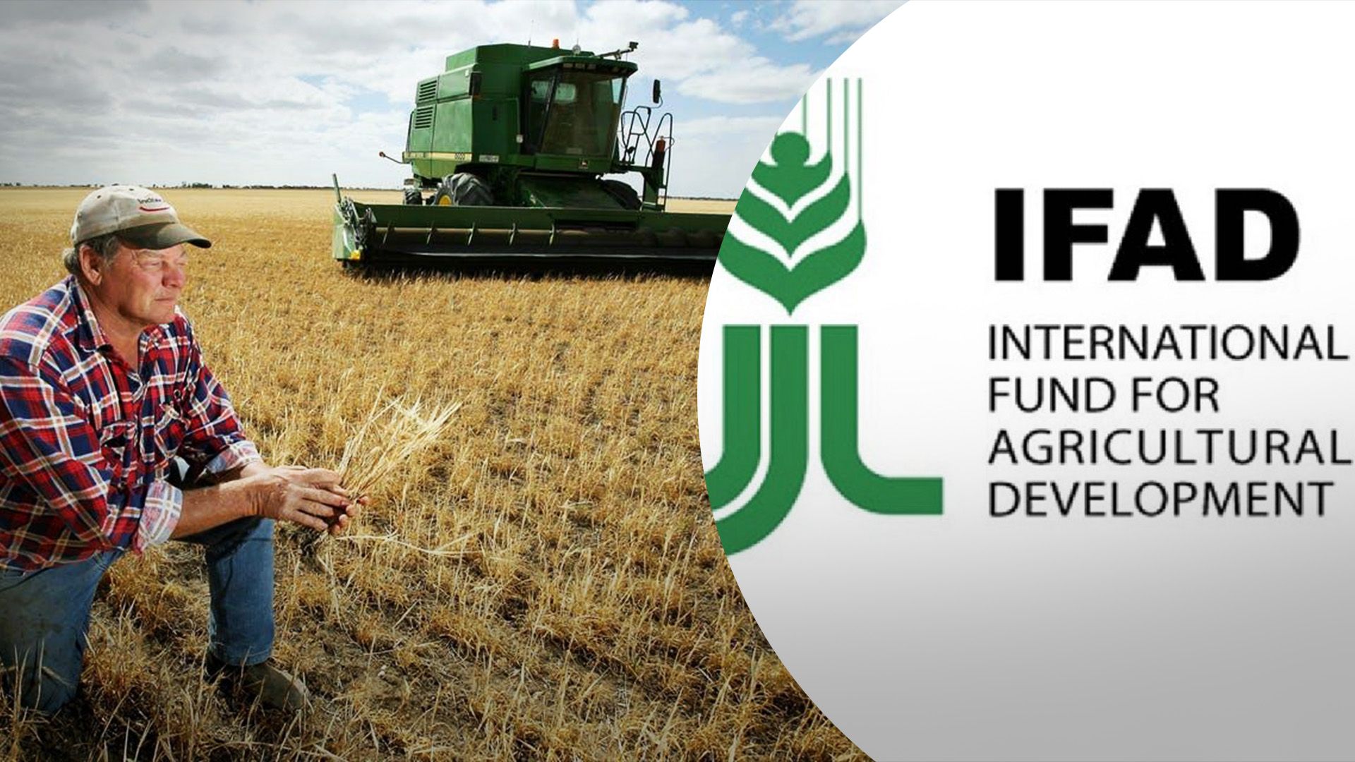 Украина в Международном фонде сельскохозяйственного развития Украина в Международном фонде сельскохозяйственного развития