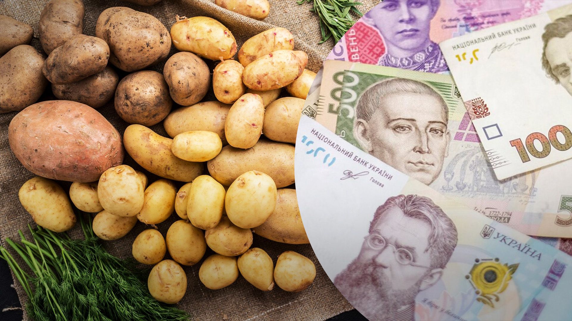 Картофель продолжает расти в цене в Украине Картофель продолжает расти в цене в Украине