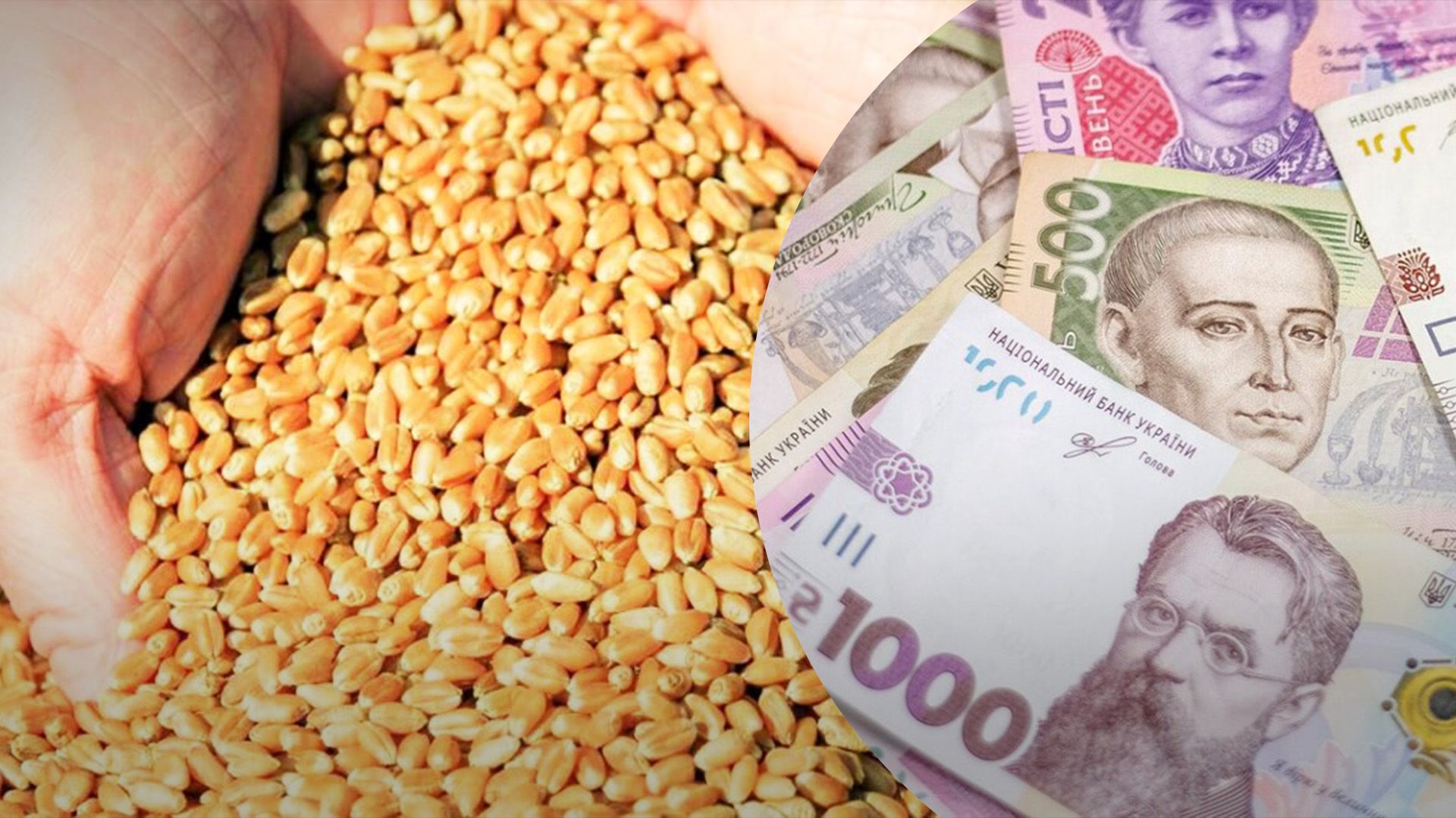 В Украине обновили цены на зерновые В Украине обновили цены на зерновые