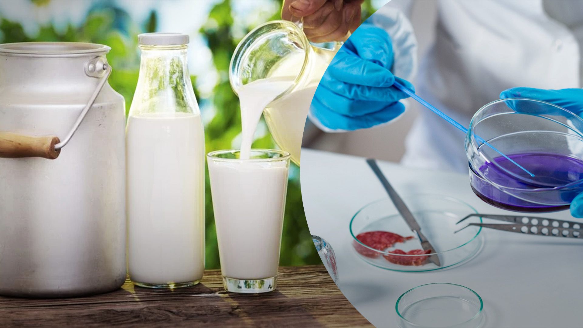 Мінагро покращило вимоги безпечності та якості молока Мінагро покращило вимоги безпечності та якості молока