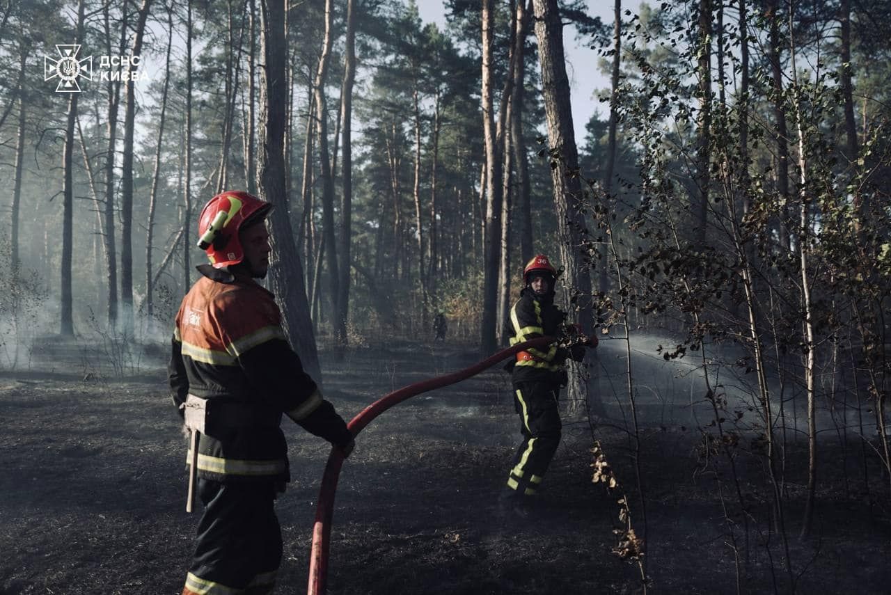 На Київщині гасили масштабні лісові пожежі На Київщині гасили масштабні лісові пожежі