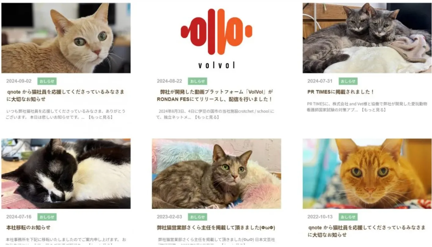 Кошки в офисе Кошки в офисе