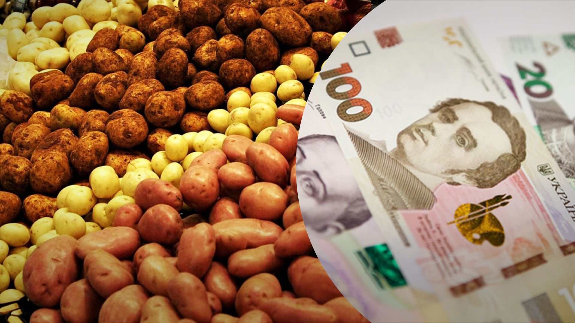 Чому картопля подорожчає Чому картопля подорожчає