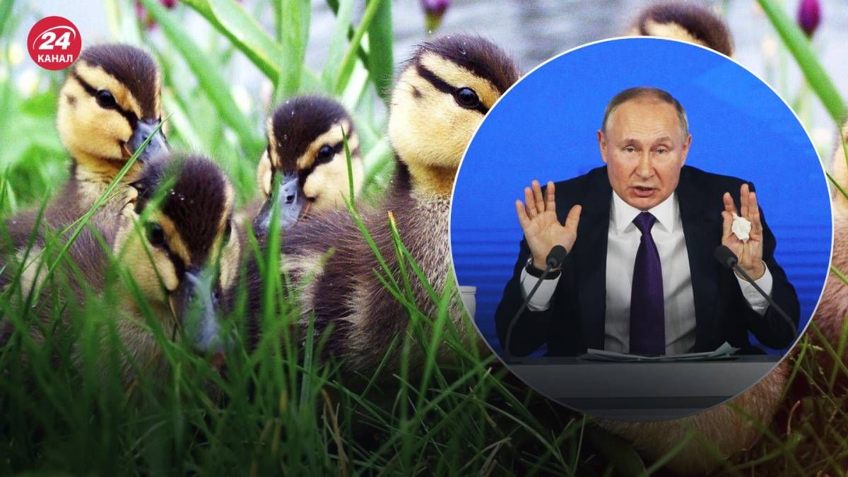 В детстве Владимир Путин жестоко обращался с животными в детстве