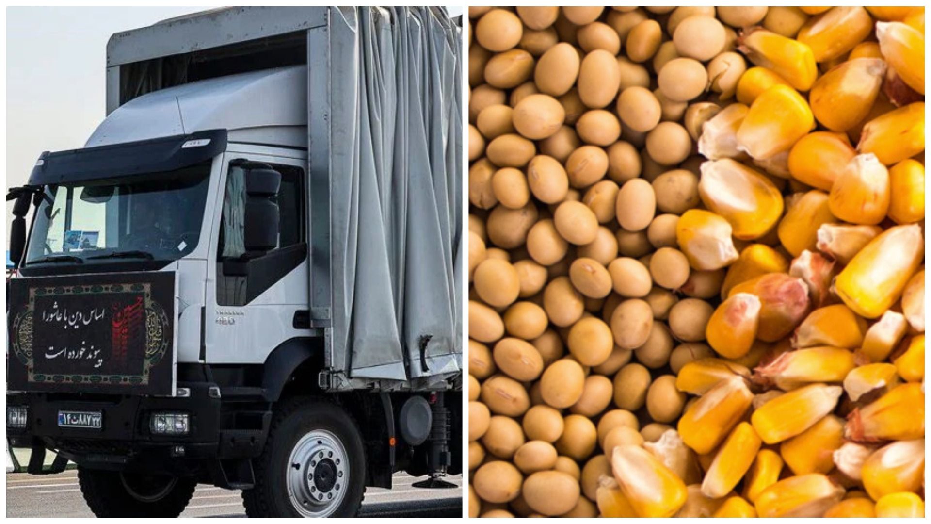 Иран признал отправку ракет в Россию в обмен на соевые бобы и пшеницу - 24 Канал Иран признал отправку ракет в Россию в обмен на соевые бобы и пшеницу - 24 Канал