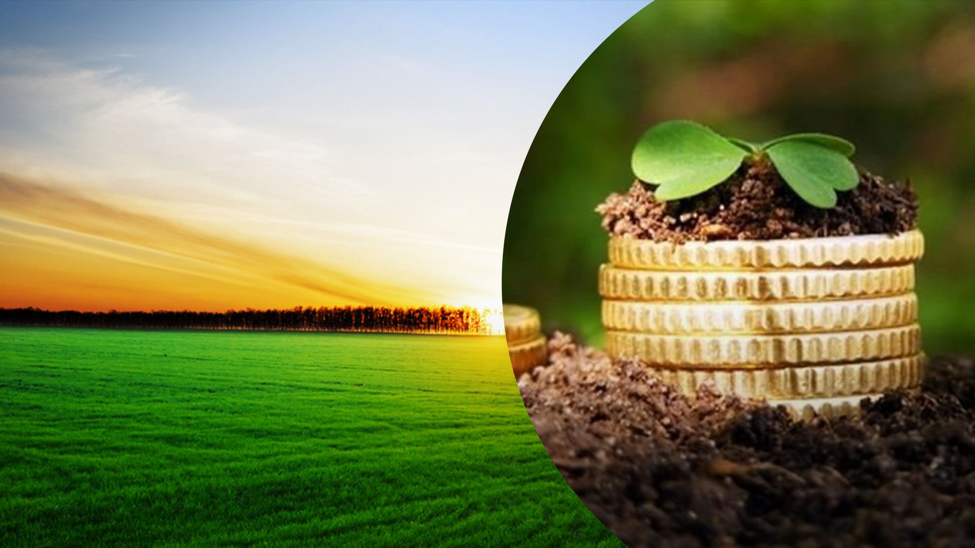 Как узнать сумму налога на землю Как узнать сумму налога на землю