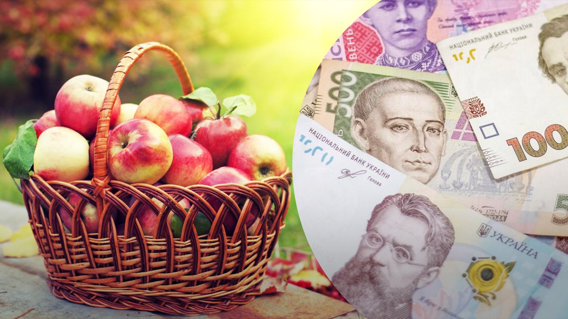 Яблука продовжують дешевшати в Україні Яблука продовжують дешевшати в Україні