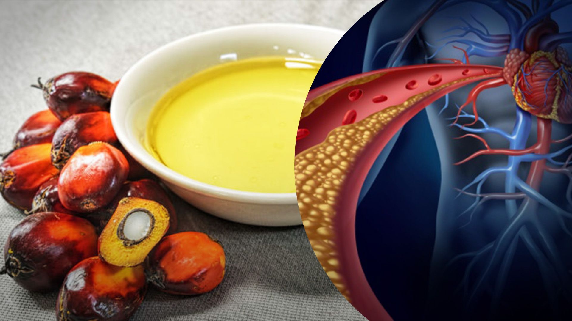 У чому небезпека пальмової олії У чому небезпека пальмової олії