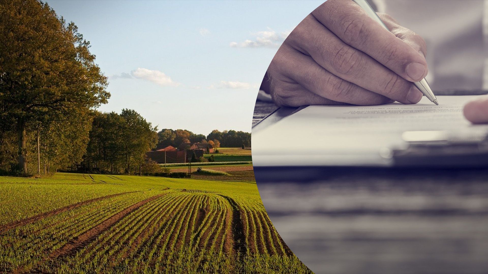 Как унаследовать пай умершего родственника Как унаследовать пай умершего родственника