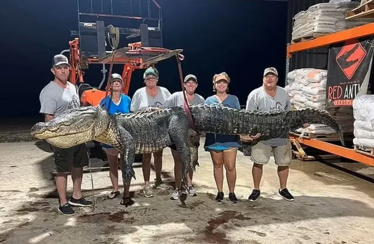 Добычу планируют съесть Добычу планируют съесть