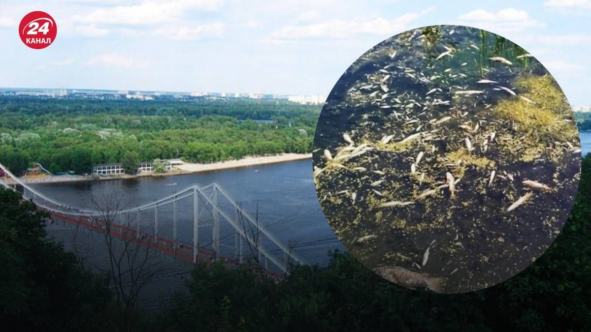 В Киеве провели брифинг по качеству воды в Днепре и Десне В Киеве провели брифинг по качеству воды в Днепре и Десне