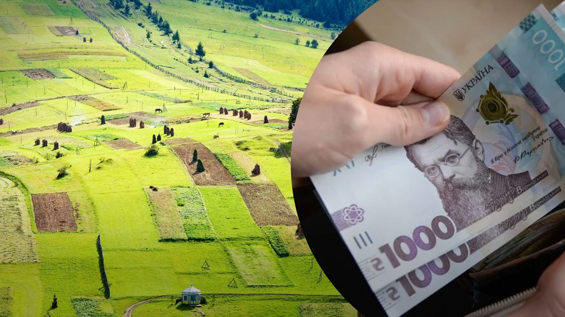 Вартість паю в Україні у 2024 році Вартість паю в Україні у 2024 році