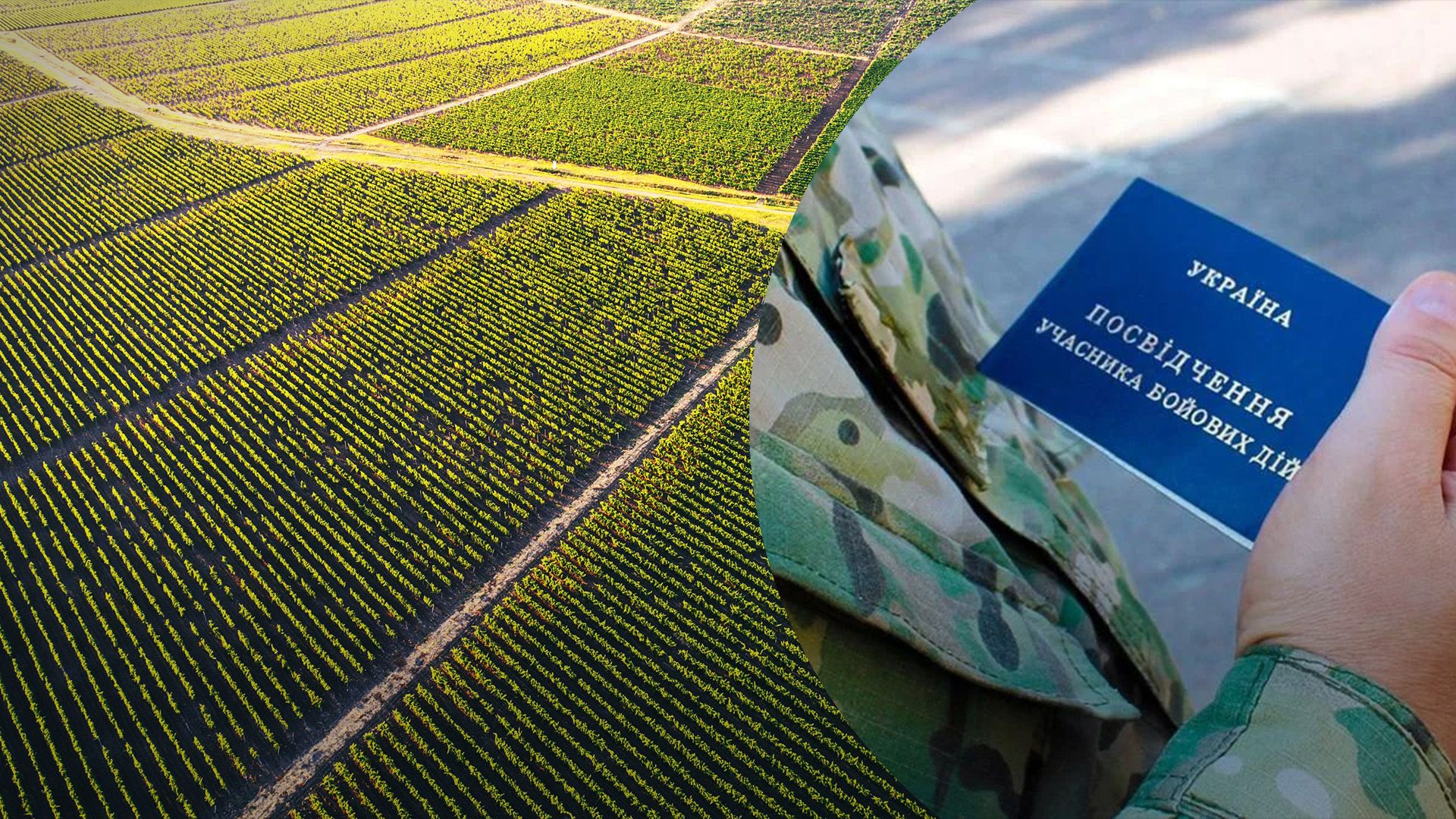 Как УБД получить земельный участок Как УБД получить земельный участок