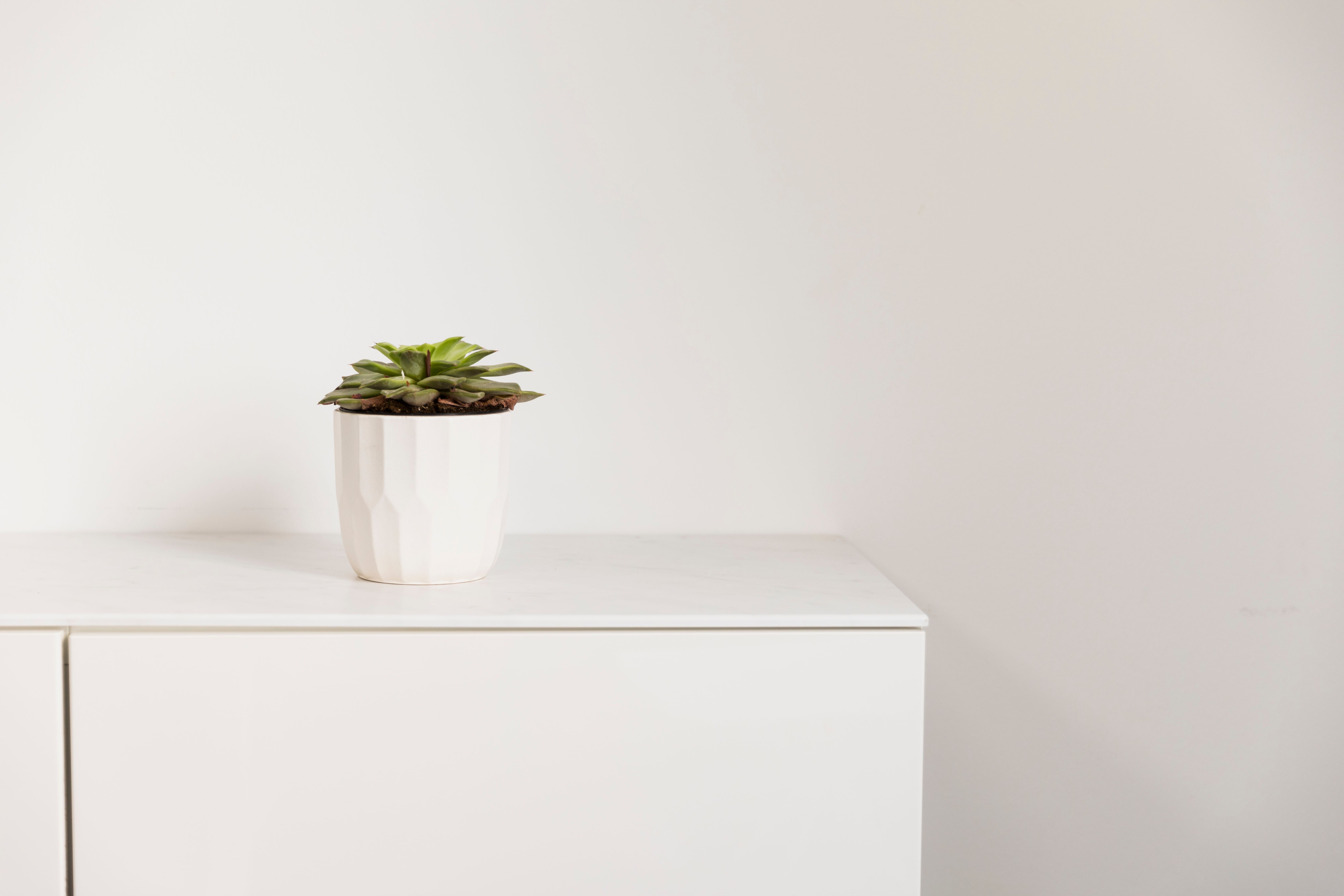 Белые поверхности часто загрязняются Белые поверхности часто загрязняются