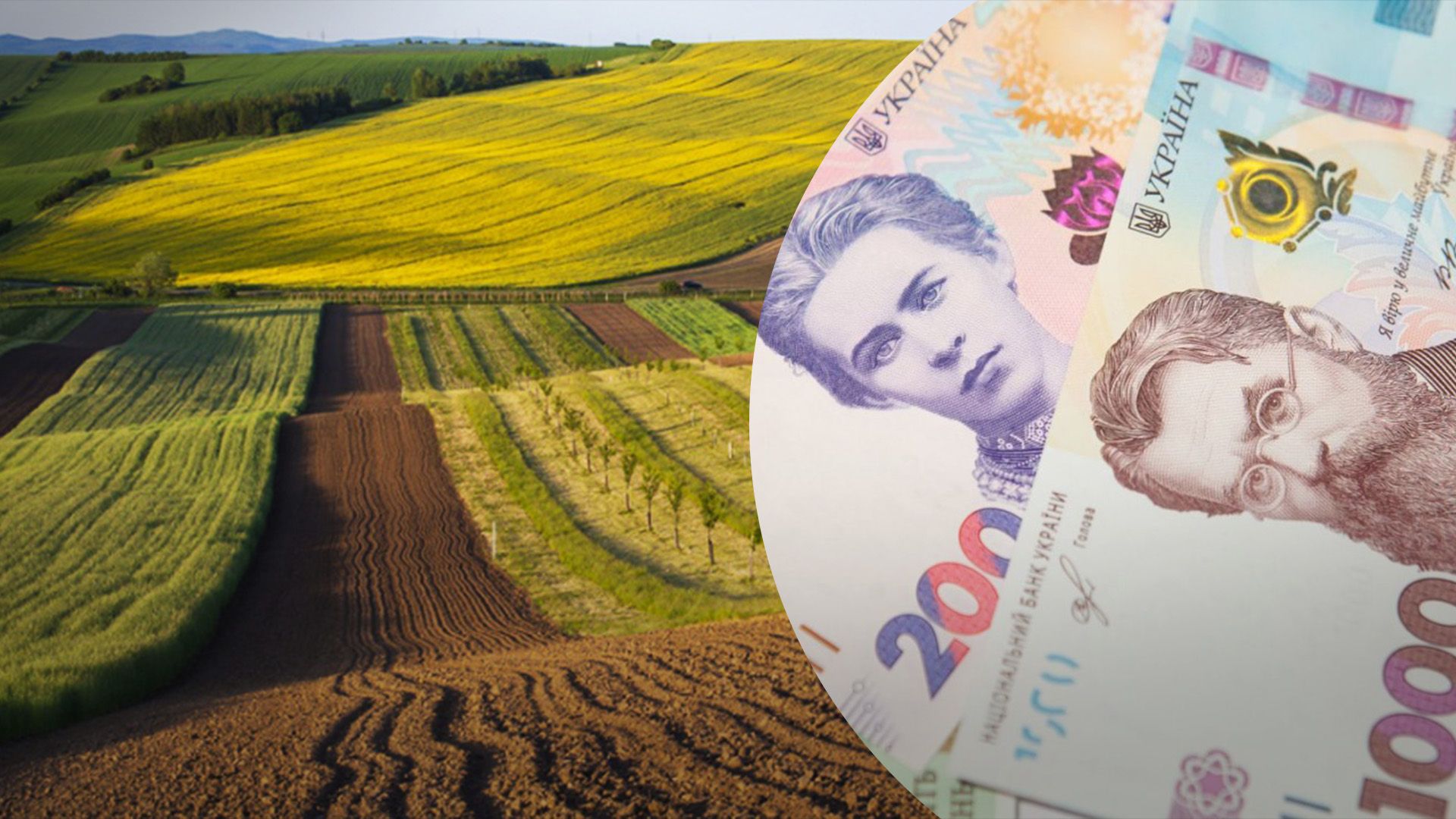 Яка вартість землі у 2024 році Яка вартість землі у 2024 році