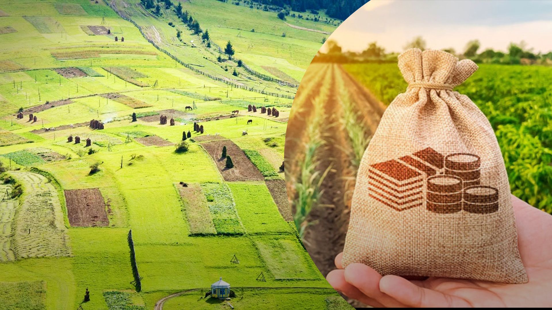 Кто должен платить земельный налог Кто должен платить земельный налог