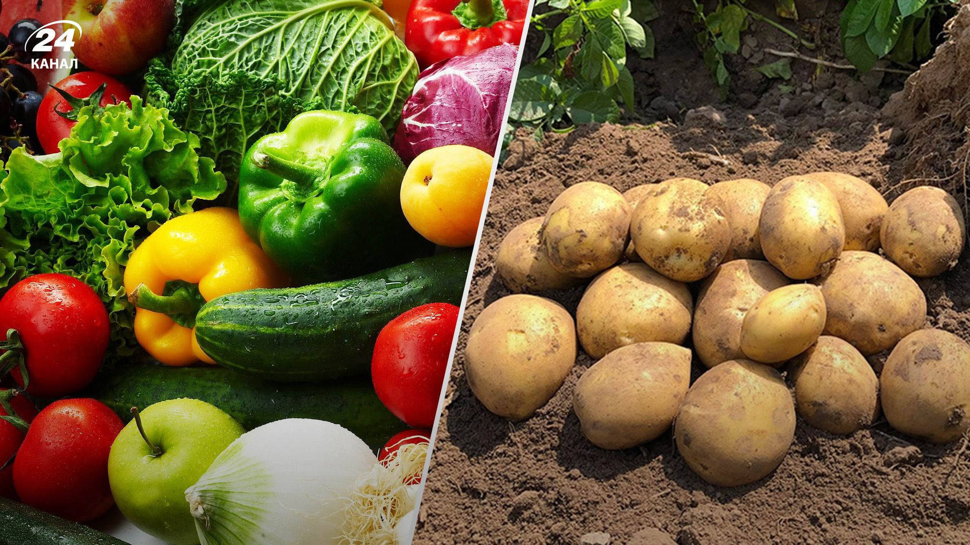 Картопля та овочі дешевшати не будуть Картопля та овочі дешевшати не будуть