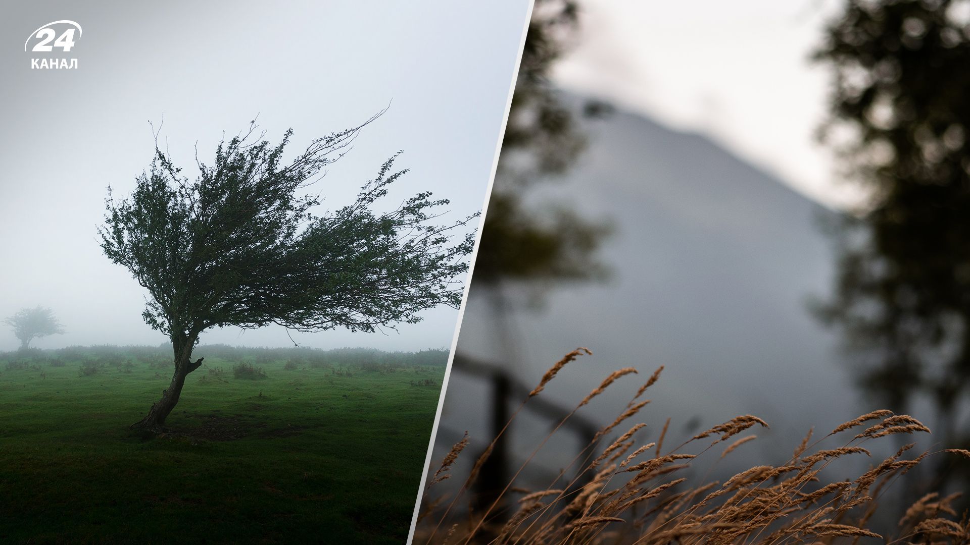 В Україну прийдуть значні дощі та буря В Україну прийдуть значні дощі та буря