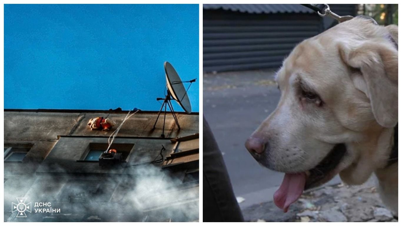 Відмовився евакуюватись без собаки: з 12 поверху у Харкові врятували чоловіка та його улюбленця - 24 Канал Відмовився евакуюватись без собаки: з 12 поверху у Харкові врятували чоловіка та його улюбленця - 24 Канал