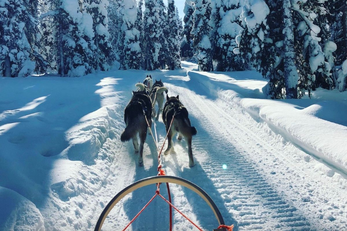 Село у Лапландії заплатить сім'ям з дітьми, які погодяться на переїзд Село у Лапландії заплатить сім'ям з дітьми, які погодяться на переїзд