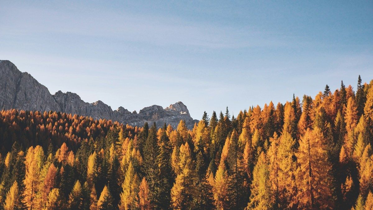 Осеннее равноденствие 2024 года – дата, точное время и особенности астрономического явления Осеннее равноденствие 2024 года – дата, точное время и особенности астрономического явления