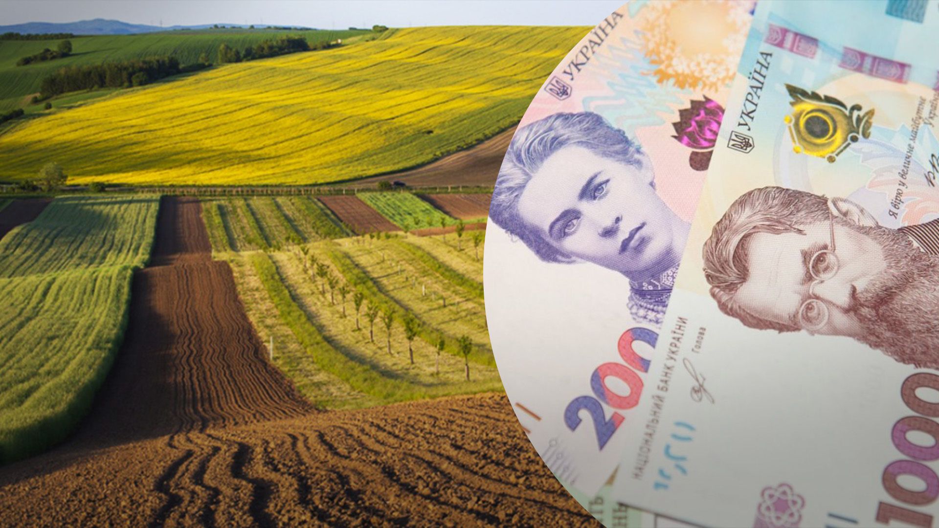 Вартість землі на Заході України Вартість землі на Заході України