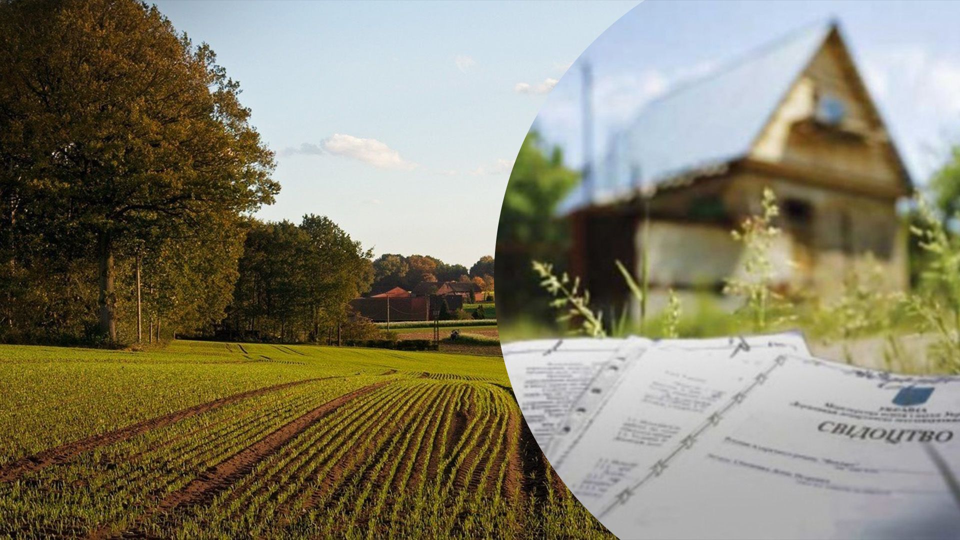 До якого року можна приватизувати землю До якого року можна приватизувати землю