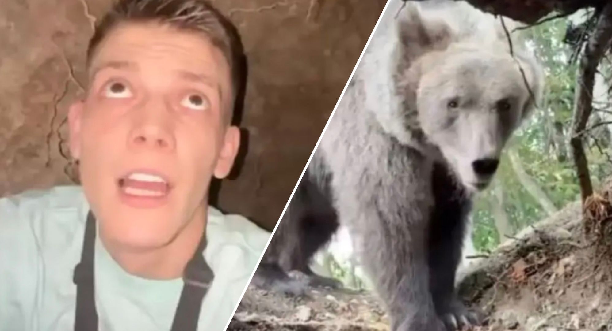 Блогер ради развлечения залез в пещеру, где встретил медведя Блогер ради развлечения залез в пещеру, где встретил медведя