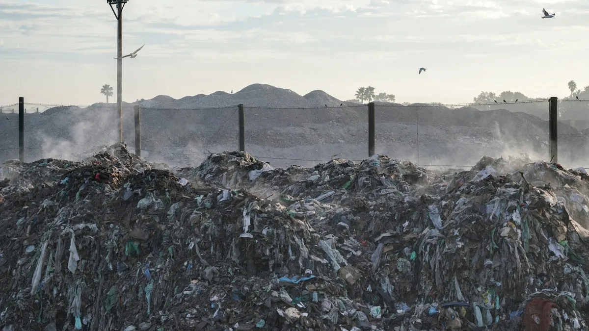 Мусорная свалка Мусорная свалка