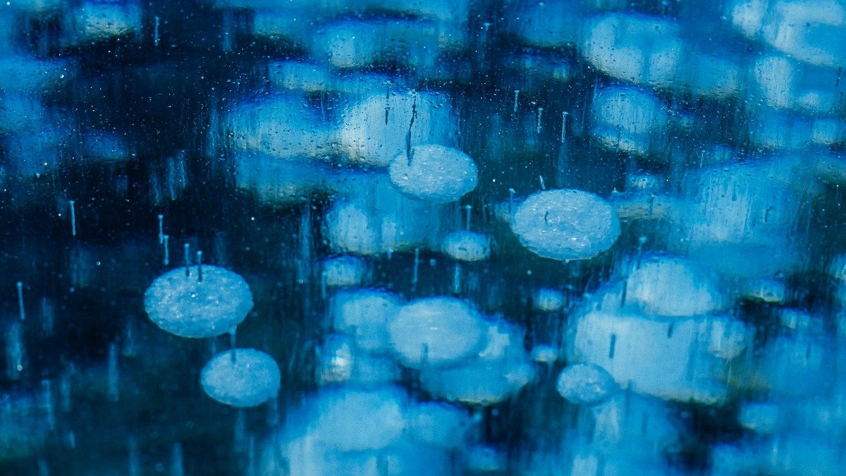 Человечество не достигло ни одного результата в соглашении о сокращении выбросов метана Человечество не достигло ни одного результата в соглашении о сокращении выбросов метана