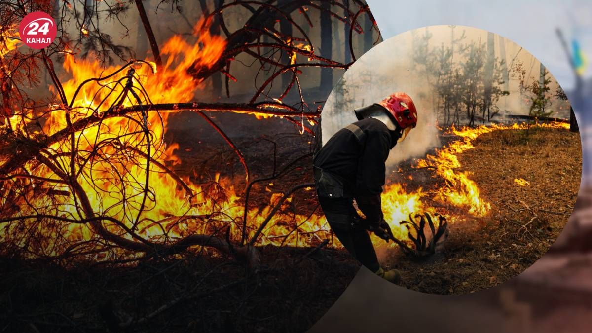 Харків та область охопили лісові пожежі Харків та область охопили лісові пожежі