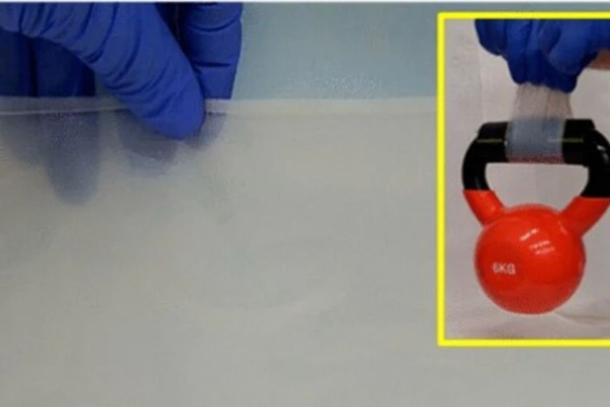 Ізраїльські вчені винайшли їстівний пластик Ізраїльські вчені винайшли їстівний пластик