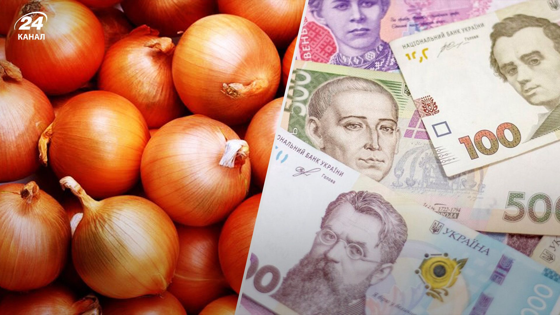 Якісної цибулі в Україні доволі мало Якісної цибулі в Україні доволі мало