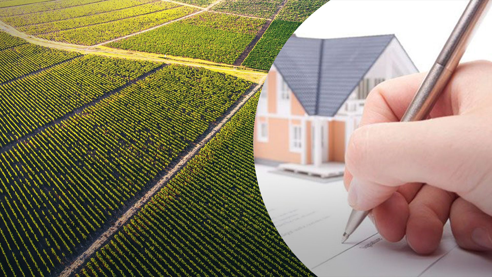 Як приватизувати земельну ділянку Як приватизувати земельну ділянку