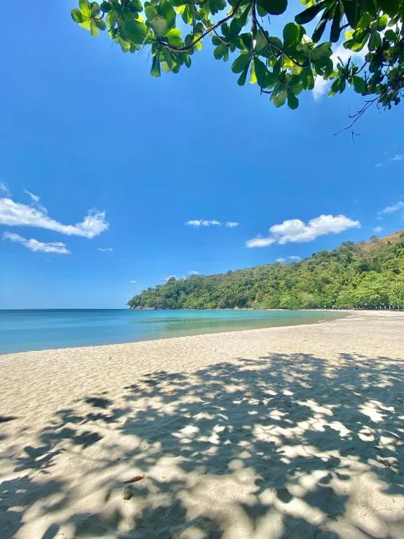 Playa La Caleta Playa La Caleta
