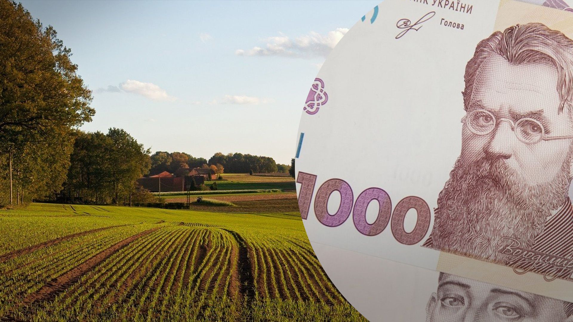 Какова стоимость земли по регионам Украины Какова стоимость земли по регионам Украины