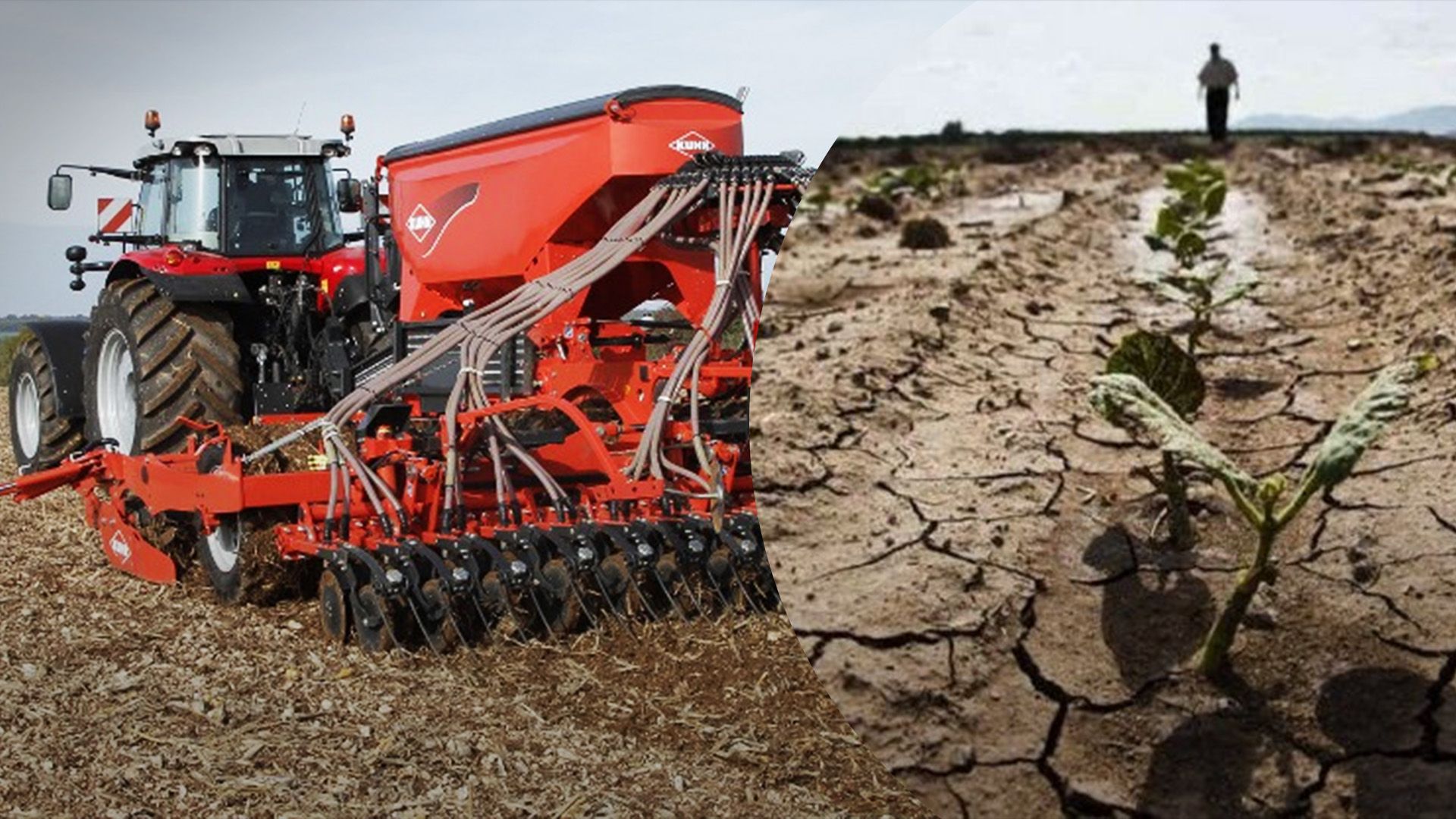 Засуха не дает сеять озимую пшеницу Засуха не дает сеять озимую пшеницу