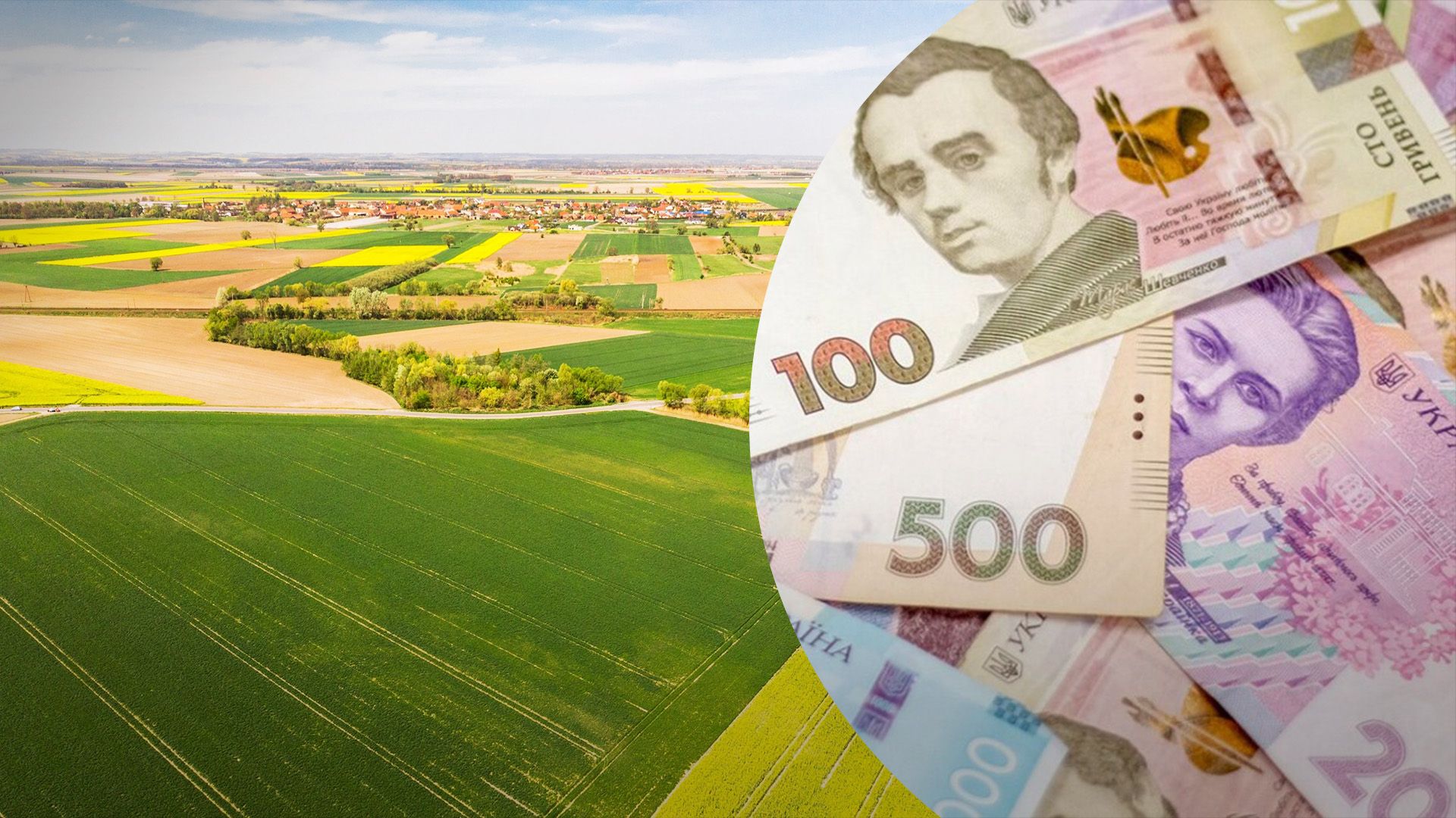 Сколько платят за земельный пай Сколько платят за земельный пай