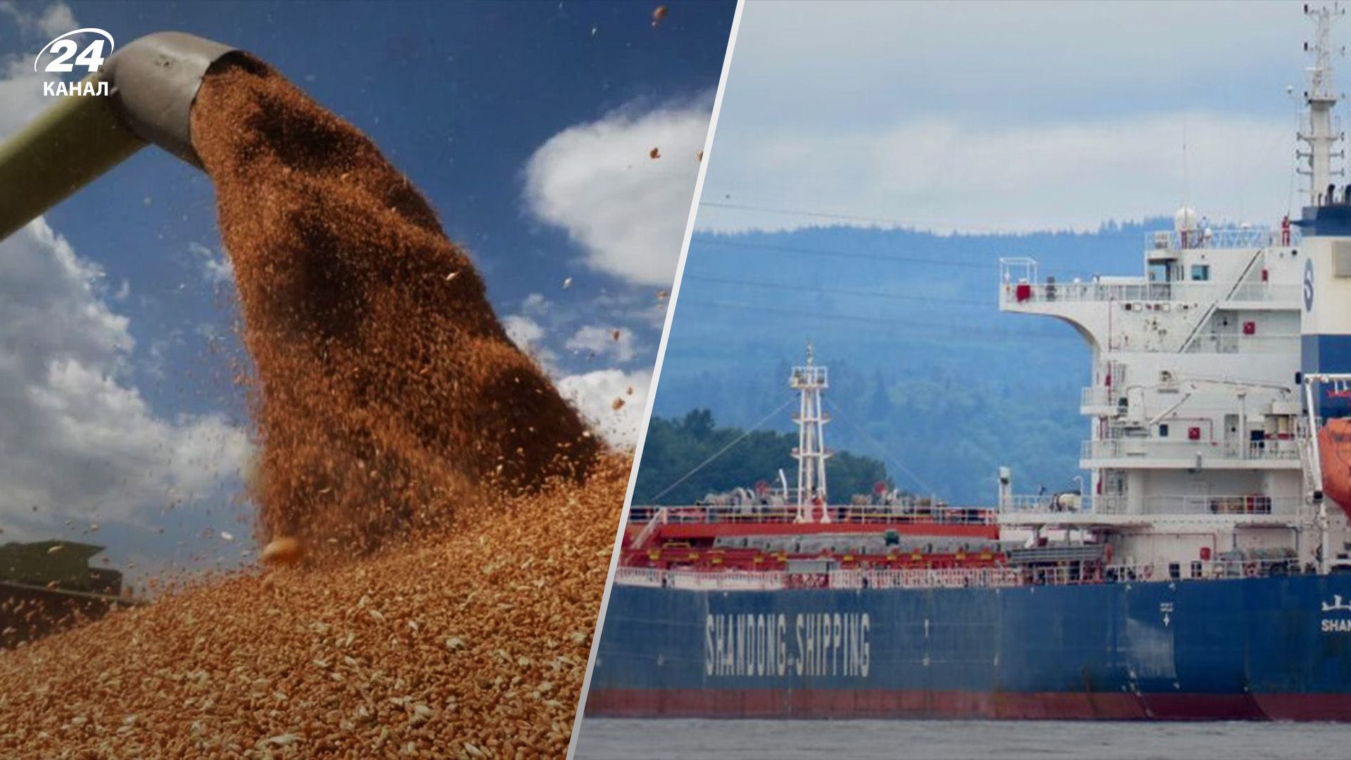 Украина экспортирует зерно по всему миру Украина экспортирует зерно по всему миру