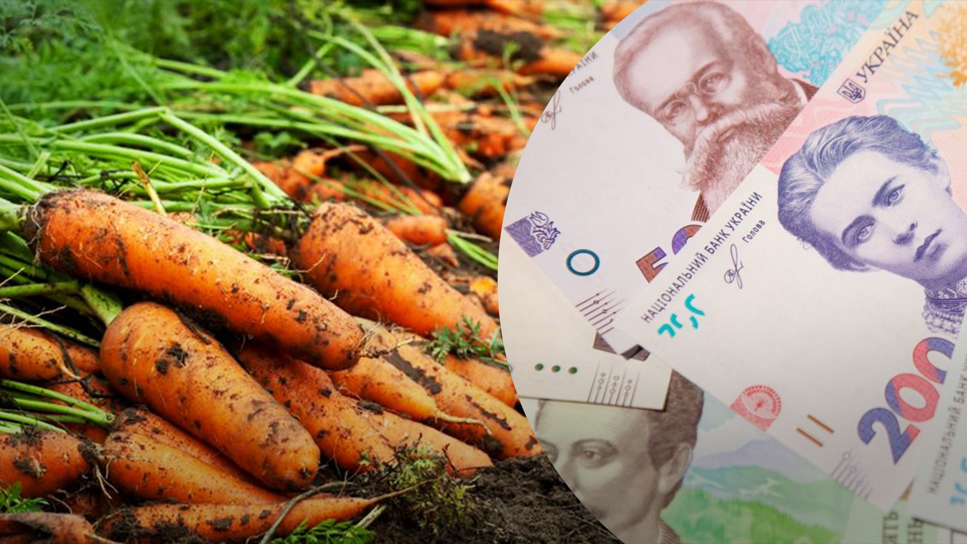 В Украине значительно подорожала морковь В Украине значительно подорожала морковь