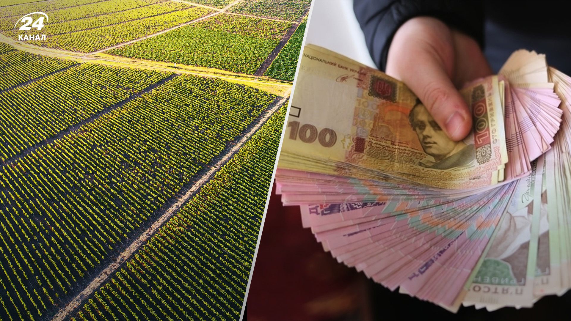 Земля в Україні найдорожча за час існування ринку Земля в Україні найдорожча за час існування ринку