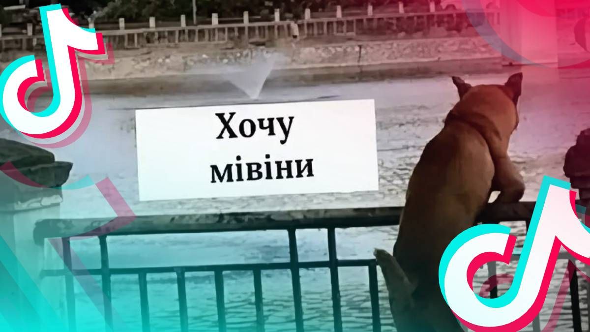 Тренд в тиктоке под песню Freemasons feat. Sophie Ellis-Bextor – Heartbreak (Make Me A Dancer) Тренд в тиктоке под песню Freemasons feat. Sophie Ellis-Bextor – Heartbreak (Make Me A Dancer)