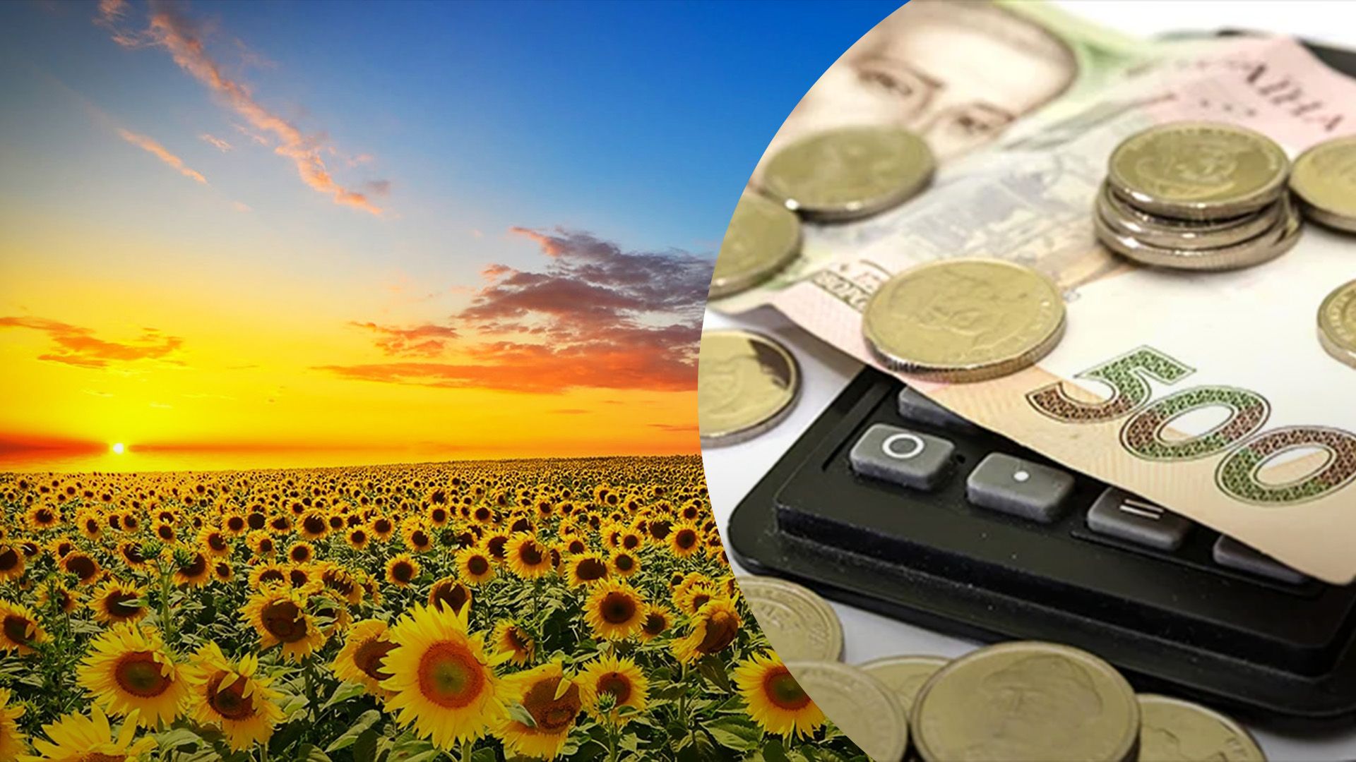 Кто должен платить налог на землю Кто должен платить налог на землю