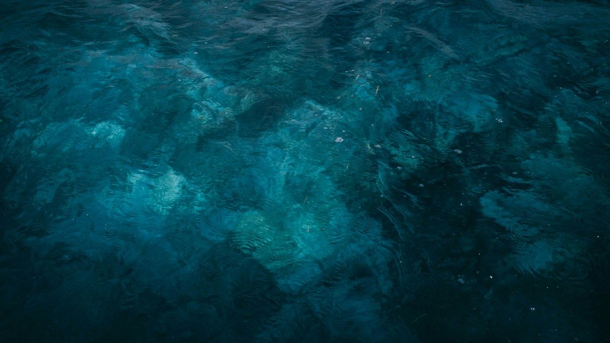 Таинственные звуки из Марианской впадины наконец-то получили объяснение Таинственные звуки из Марианской впадины наконец-то получили объяснение