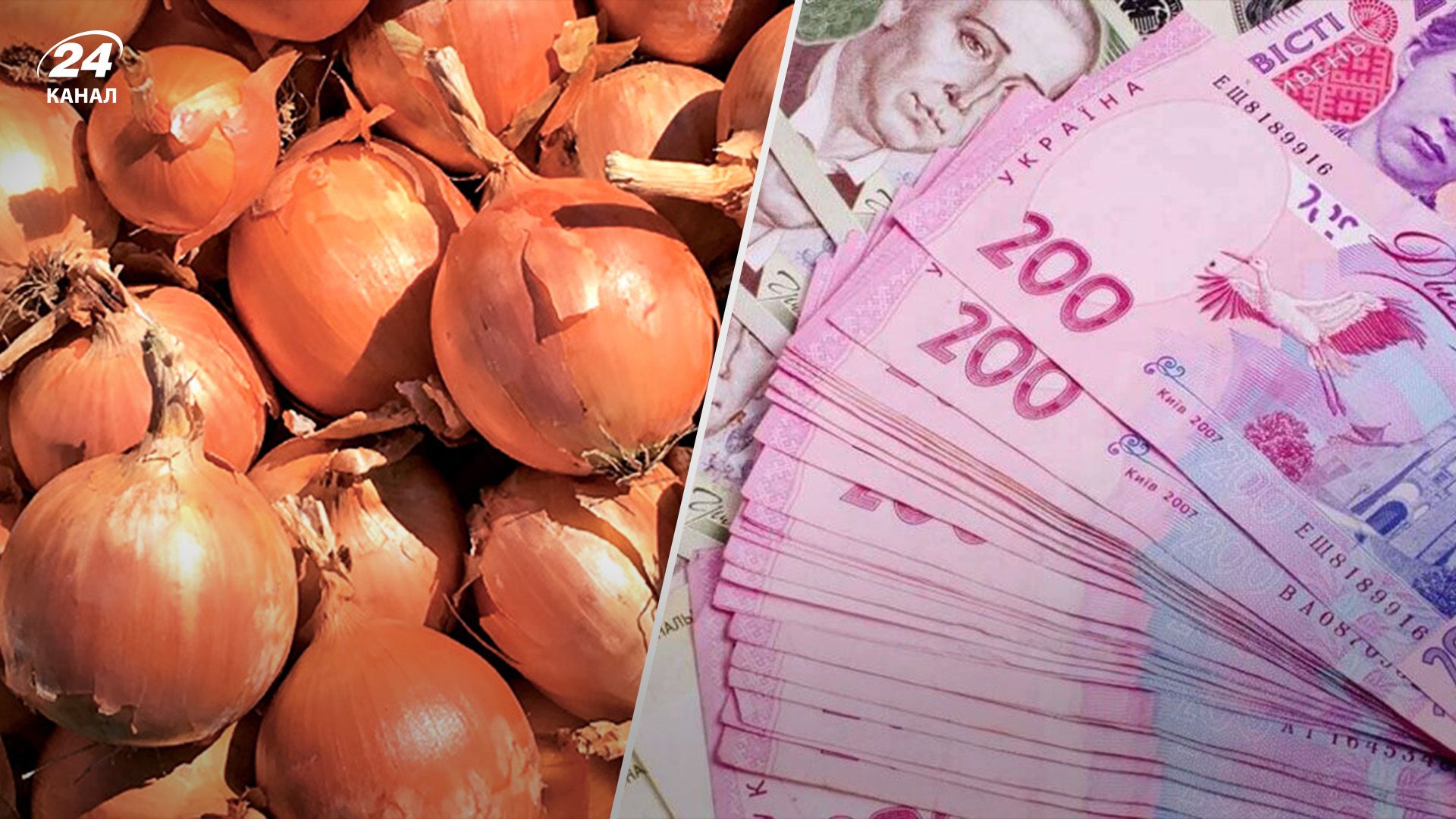 Лук в Украине начал дорожать в Украине Лук в Украине начал дорожать в Украине