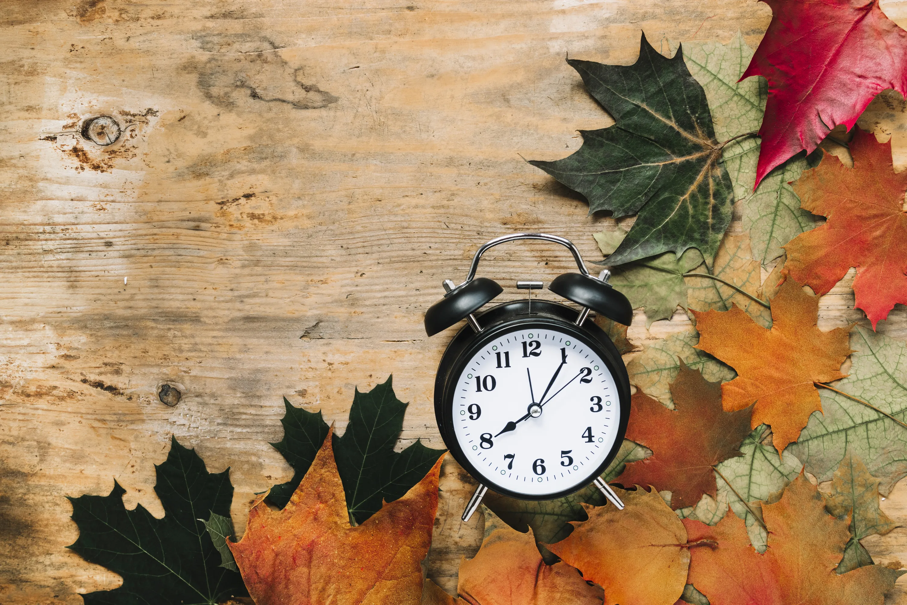 День осіннього рівнодення 2024