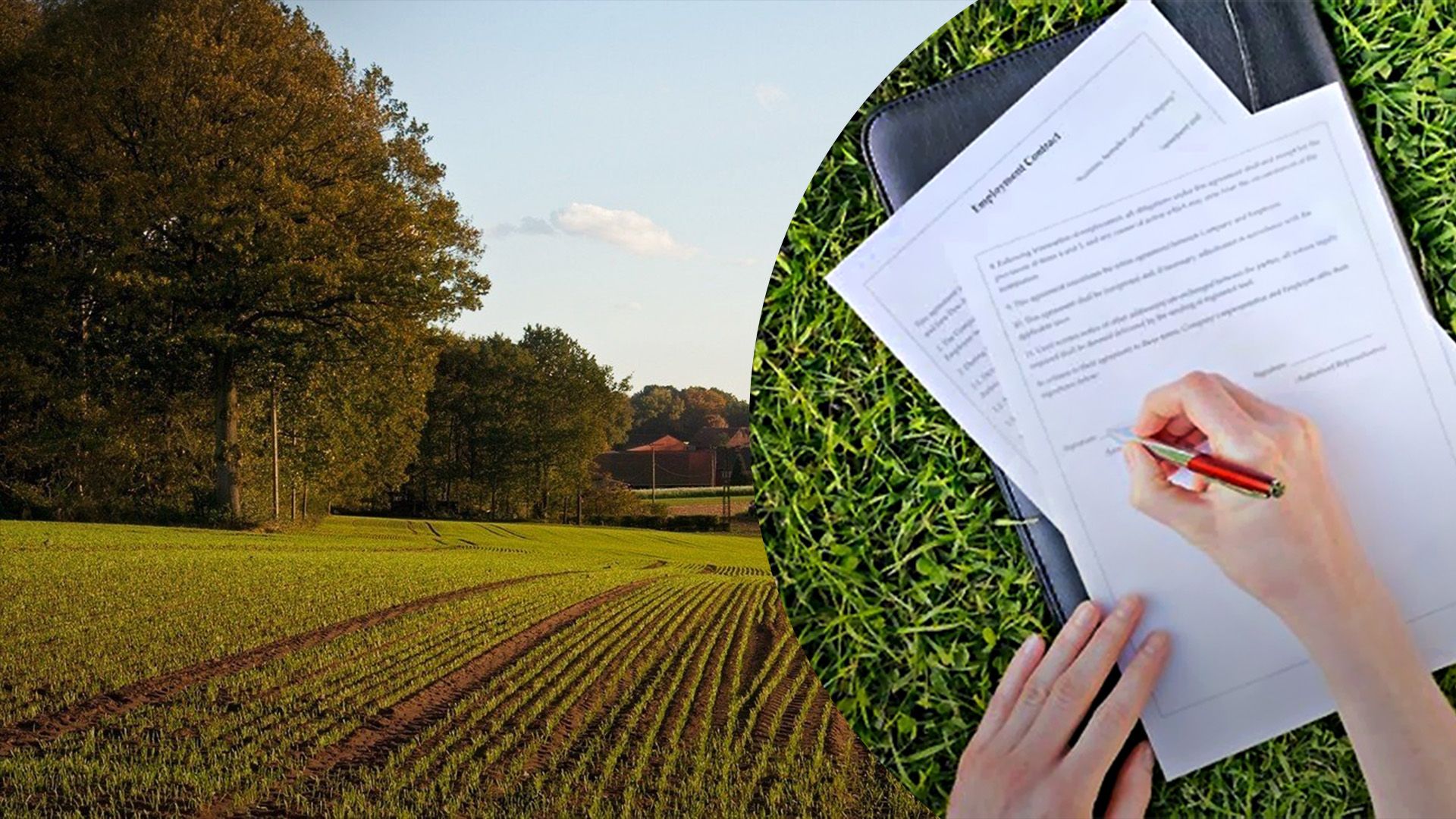 Возможна ли аренда коммунальной земли без аукциона Возможна ли аренда коммунальной земли без аукциона