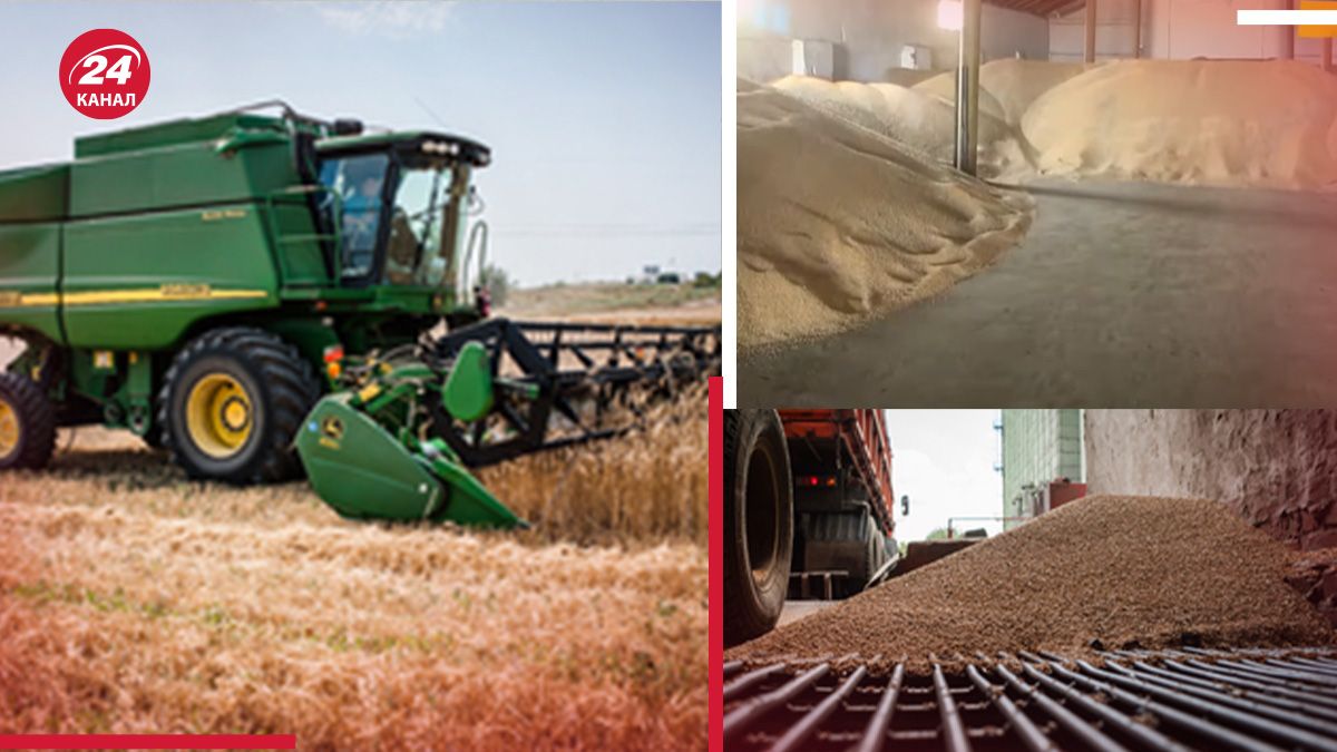 Россия торгует украинским зерном Россия торгует украинским зерном